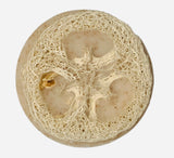 Scrubby Multi-Purpose Soap