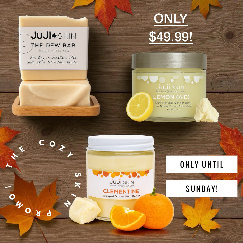 all natural preservative free skincare